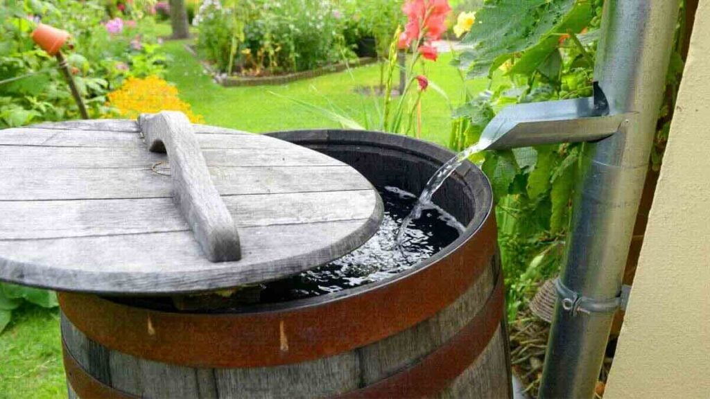 Récupérateur d’eau