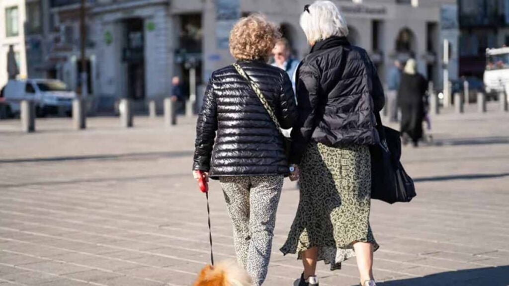 retraités américains en France